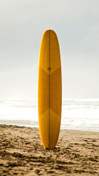 Surfers Paradise (11)