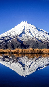 土壤肥沃的火山
