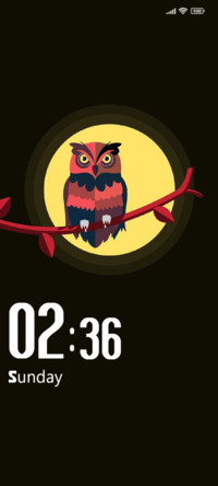 Owl