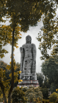 Abhinav Chitransh B3 (5)