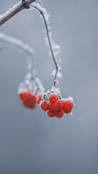 Will it be colder this winter 27