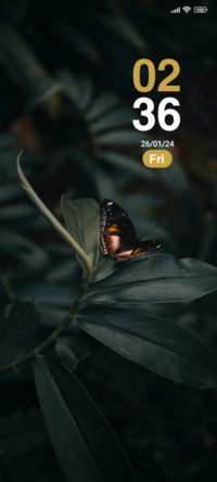 Butterfly