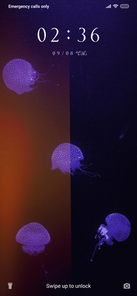Jellyfish Sides_3MDS