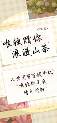 唯独赠你浪漫山茶