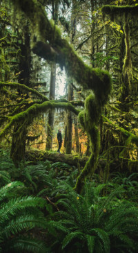 Adventure in Nature (1)