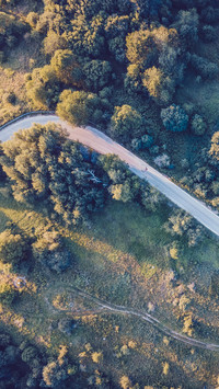 前进的道路