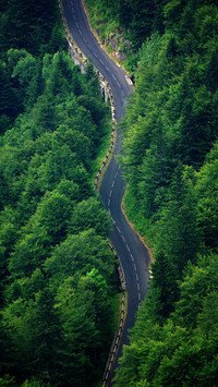 前进的道路