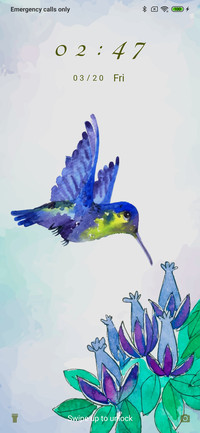 Hummingbird_3mdp