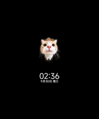 大头小猫 自定义DIY