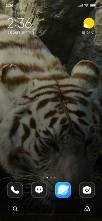 Bengal Tiger