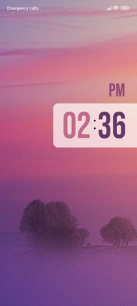 Dusk Dawn