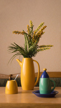Six types of green plants that are very easy to cultivate 4