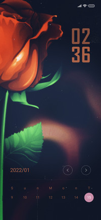 Rose Alone