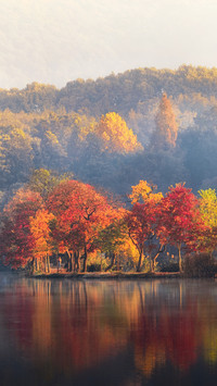 The crescent causeway in the autumn morning