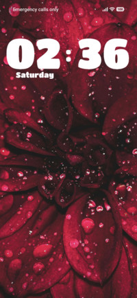 Dahlia Flower