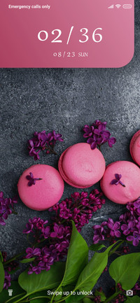 Lilac - Macrons_3MDS