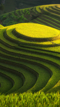高山梯田