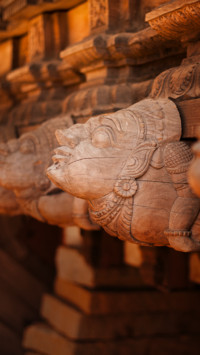 Murugan (4)
