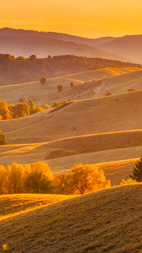 Golden glow weaves dreams on boundless autumn plains