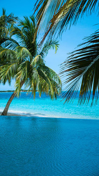 Go to Maldives