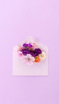 A Letter from Spring