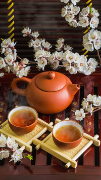 茶分寒与热，会喝才养生