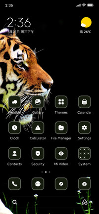 Tiger