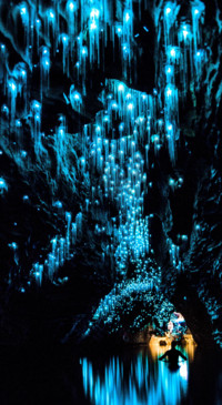 Art Decor (37)