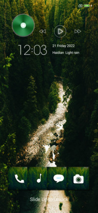 Jungle for