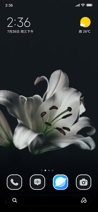 Lily Blossom