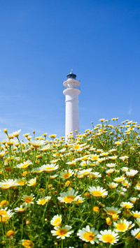 花间闲话