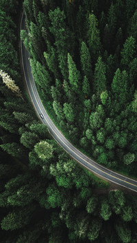 How to safe self driving tour 3