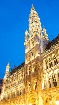 Brussels Glimpse 2
