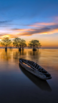 Fisherman boat and trees in the lake at Pakpra