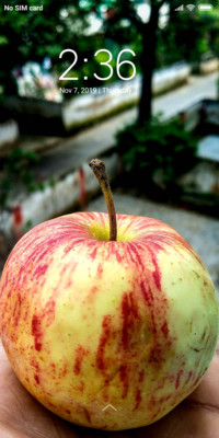 Apple_DWM3