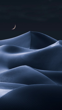 Miracle of desert oasis