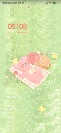 Picnic bear
