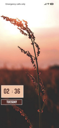 Nature
