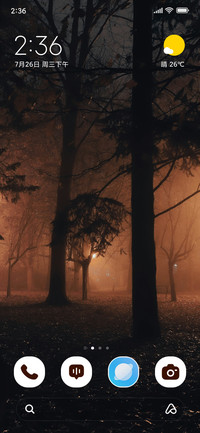 Mystic Woods
