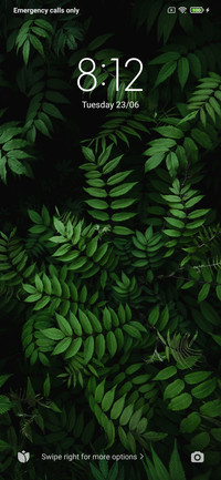 Green Leaf