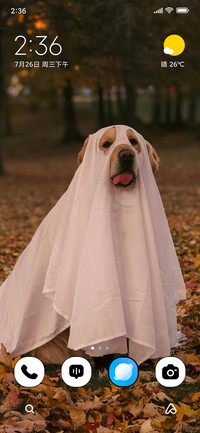 Ghost Pup