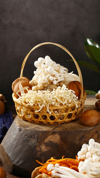 Types of mushrooms