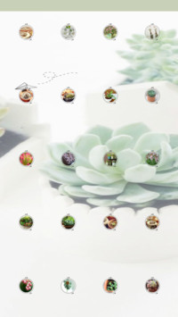 Bất Phụ Lưu Niên