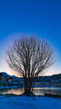 Against the backdrop of the blue sky