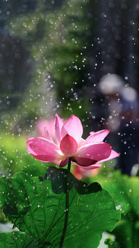 Isnt it good to have a sunny day in mid summer