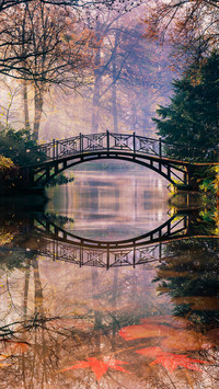 Autumn Scenery On Earth