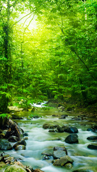 Natural rivers