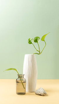 Green Pineapple Flower Arrangement