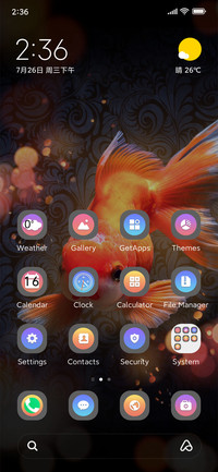 Koi carp