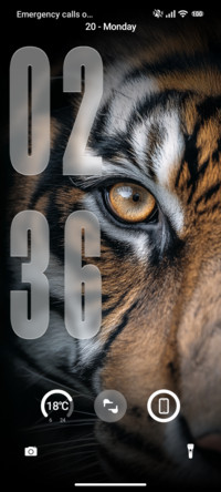 Tiger Phone